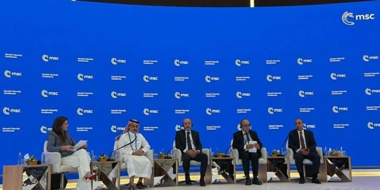 وزير الخارجية: مصر تواصل جهودها لوقف الحرب الإسرائيلية على غزة وإقامة الدولة الفلسطينية