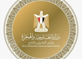 وزير الخارجية يجتمع بأبناء الجالية المصرية في الهند ويؤكد التحول الرقمي في الخدمات القنصلية