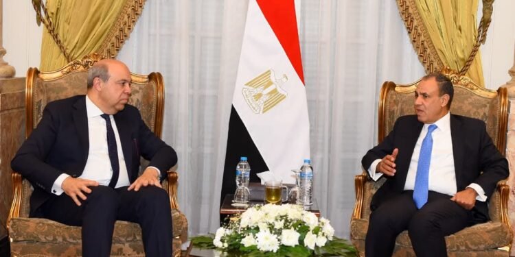 وزير الخارجية: مصر مستمرة في نقل خبراتها وتقديم الدعم الفني للدول الإفريقية والعربية