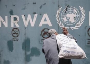 الأونروا: لدينا 6000 شاحنة تنتظر على أبواب قطاع غزة