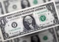 سعر الدولار اليوم يشهد استقرارًا نسبيًا في البنوك المصرية والسوق الموازية