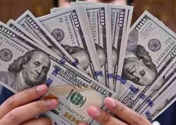 استقرار سعر الدولار أمام الجنيه اليوم الثلاثاء 18 نوفمبر 2025