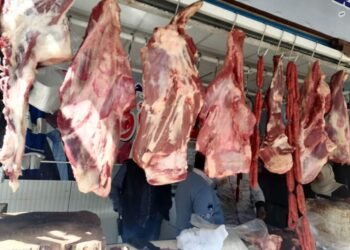 ضبط 74 طن لحوم فاسدة.. وحماية المستهلك: لن نتهاون مع المخالفين