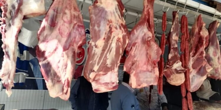 ضبط 74 طن لحوم فاسدة.. وحماية المستهلك: لن نتهاون مع المخالفين