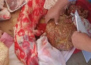 تموين أسيوط يضبط لحوم ومشروبات فاسدة ومخالفات بالمخابز والأسواق