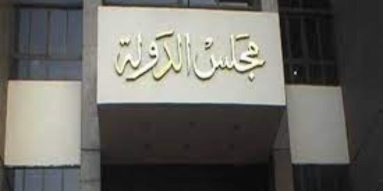 الإدارية العليا تُبطل الانتخابات في 26 دائرة وترفع الملغاة إلى 47 ضمن المرحلة الأولى