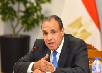 وزير الخارجية: تقسيم السودان خط أحمر لمصر والحل سياسي لا عسكري