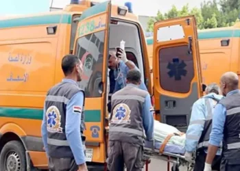 مصرع شخص وإصابة آخر في تصادم سيارتين على الطريق الصحراوي الغربي بالمنيا