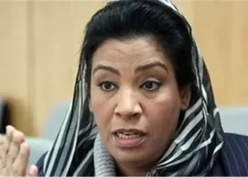 نشوى الديب تعلن انسحابها من انتخابات مجلس النواب في إمبابة