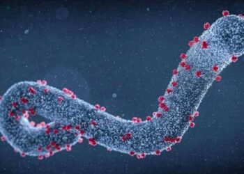 الصحة: مصر آمنة من فيروس ماربورج.. ولا إصابات حتى الآن