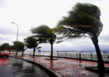 الأرصاد تحذر من موجة طقس غير مستقرة تبلغ ذروتها غدًا الجمعة