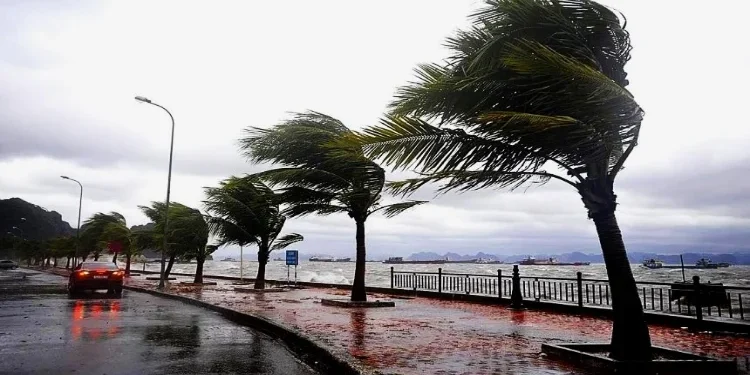 الأرصاد تحذر من موجة طقس غير مستقرة تبلغ ذروتها غدًا الجمعة