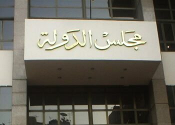 251 طعنًا أمام الإدارية العليا بعد الجولة الأولى من انتخابات النواب 2025