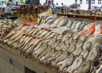 أسعار الأسماك في مصر