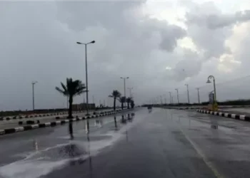 الأرصاد: طقس خريفي غير مستقر اليوم السبت 15 نوفمبر