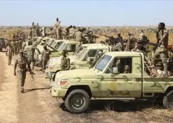 الجيش السوداني يسيطر على مناطق جديدة بشمال كردفان