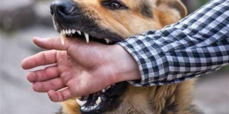 كلب مسعور يعقر 20 شخصا بمركز البداري بأسيوط