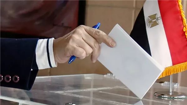 الإدارية العليا تكلف الوطنية للانتخابات بتقديم محاضر الفرز الخاصة بالدوائر المطعون عليها أمام المحكمة