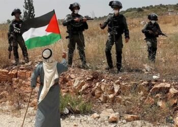 الاحتلال يصدر أمراً عسكرياً بإزالة أشجار الزيتون من أراضي راس كركر وكفر نعمة