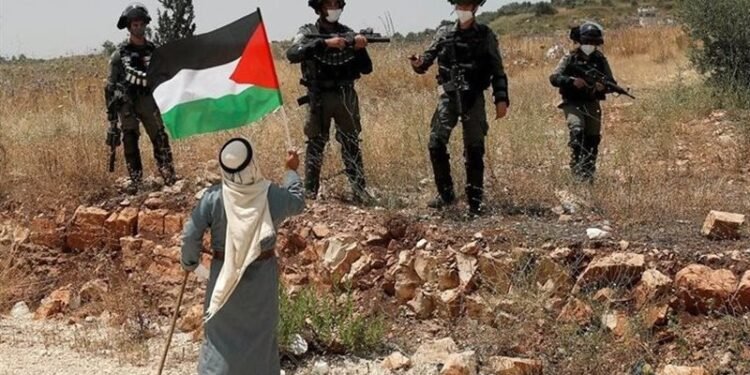 الاحتلال يصدر أمراً عسكرياً بإزالة أشجار الزيتون من أراضي راس كركر وكفر نعمة