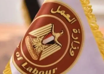 وزارة العمل تعلن عن 185 فرصة عمل برواتب تصل إلى 16 ألف جنيه