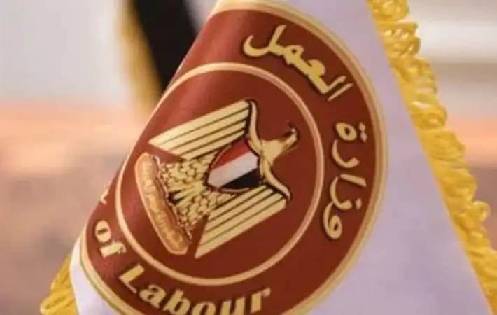 وزارة العمل تعلن عن 185 فرصة عمل برواتب تصل إلى 16 ألف جنيه