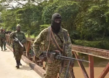 الأمم المتحدة: مسلحون مدعومون من داعش يقتلون 89 شخصا في هجمات بشرقي الكونغو الديمقراطية