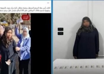 ضبط سيدة جمعت بطاقات للتصويت لصالح أحد المرشحين بالمنوفية