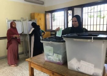 الإدارية العليا تُبطل انتخابات 4 دوائر في البحيرة وتقرر إعادتها