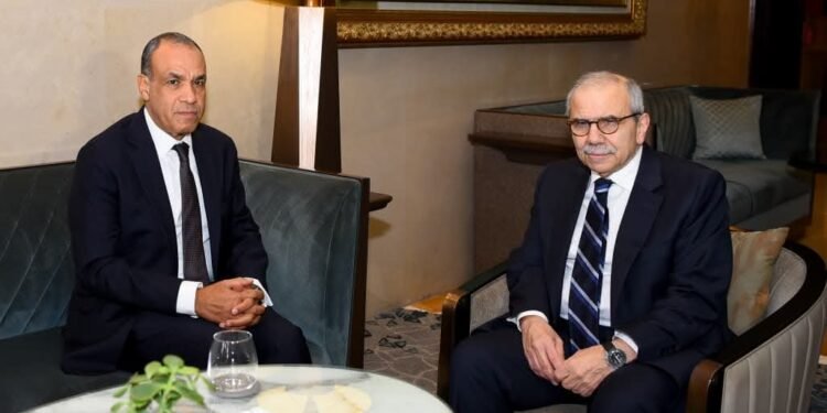 وزير الخارجية: مصر تدعم سيادة لبنان وتؤكد موقفها الثابت إزاء الانتهاكات الإسرائيلية