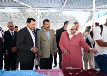 وزير الشباب والرياضة يتفقد فعاليات الاتحاد العام لمراكز شباب مصر بمركز شباب الشيخ زايد في الإسماعيلية