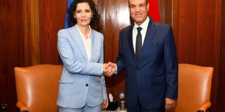 وزير الخارجية: الجهود المصرية مستمرة لتثبيت وقف إطلاق النار وتسهيل وصول المساعدات إلى غزة