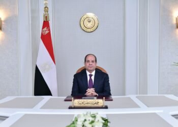 السيسي: نسعى لحل سلمي شامل للأزمة الأوكرانية وتحقيق الاستقرار الدولي