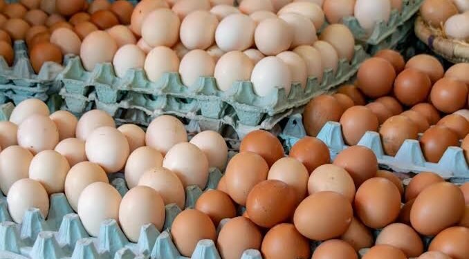 ماذا يحدث في بورصة البيض؟ الأسعار تصل إلى مستويات جديدة