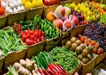 استقرار أسعار الخضروات وارتفاع طفيف في الفواكه بأسواق الأربعاء