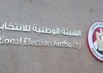 الهيئة الوطنية للانتخابات: التصويت بالـ30 دائرة الملغاة قضائيًا في 10 و11 ديسمبر