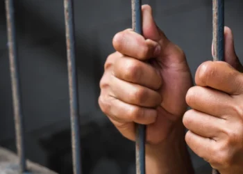 حبس مدرب كرة قدم بالمنصورة 4 أيام لاتهامه بالتعدي على أطفال وتصويرهم