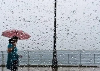 طقس الأحد 14 ديسمبر.. شبورة كثيفة وأمطار متفرقة على عدد من المناطق