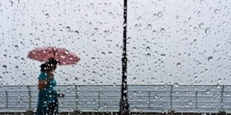 طقس الأحد 14 ديسمبر.. شبورة كثيفة وأمطار متفرقة على عدد من المناطق