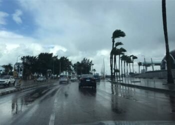 طقس الإثنين 15 ديسمبر.. أمطار قد تصل للسيول واضطراب بالملاحة وشبورة صباحية