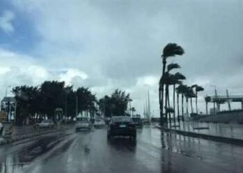 الأرصاد: طقس شديد البرودة وشبورة كثيفة اليوم الأحد