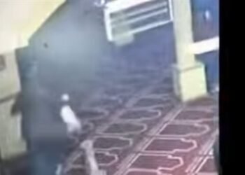 القبض على خطيب لاتهامه بالتعدي على قطط داخل مسجد بدمياط