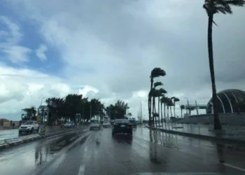 الأرصاد تحذر: طقس شديد البرودة مع شبورة كثيفة وفرص أمطار خفيفة اليوم الثلاثاء