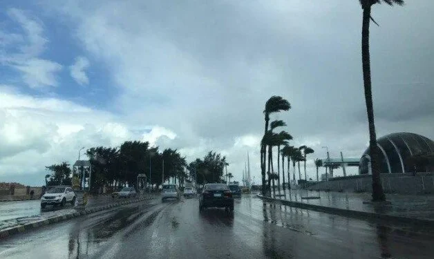 الأرصاد تحذر: طقس شديد البرودة مع شبورة كثيفة وفرص أمطار خفيفة اليوم الثلاثاء