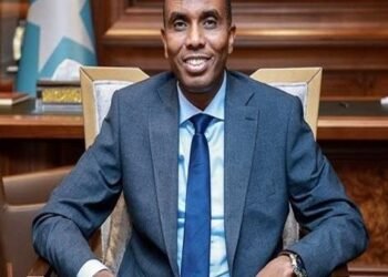 رئيس وزراء الصومال: إسرائيل تستهدف تنفيذ خطة نتنياهو التي تسمى إسرائيل الكبرى