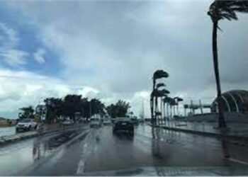 طقس الثلاثاء 23 ديسمبر.. شديد البرودة صباحًا وليلاً مع شبورة كثيفة