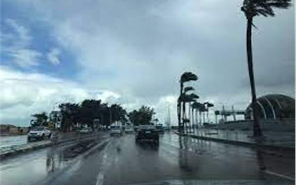 طقس الثلاثاء 23 ديسمبر.. شديد البرودة صباحًا وليلاً مع شبورة كثيفة