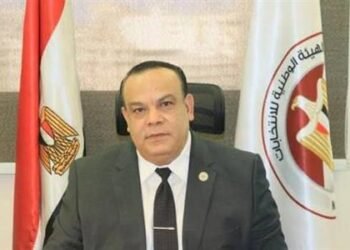 الهيئة الوطنية للانتخابات تعتمد نتائج 19 دائرة ونتيجة إعادة إطسا بالفيوم