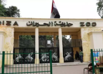 وزير الزراعة يكشف عن خطة تطوير شاملة لحديقة الحيوان قبل افتتاحها التجريبي