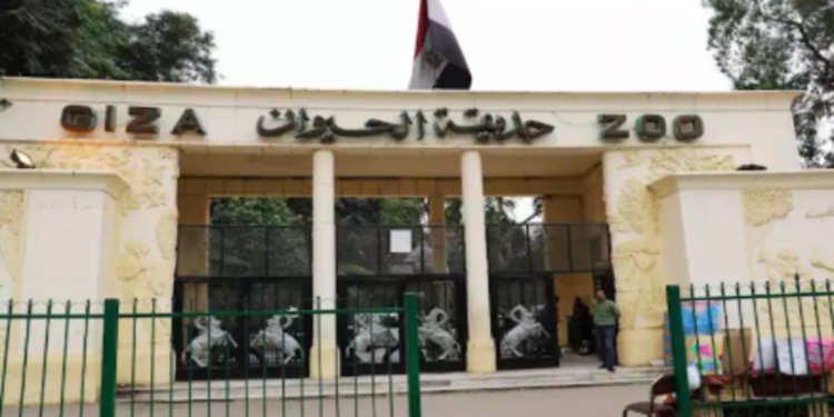 وزير الزراعة يكشف عن خطة تطوير شاملة لحديقة الحيوان قبل افتتاحها التجريبي